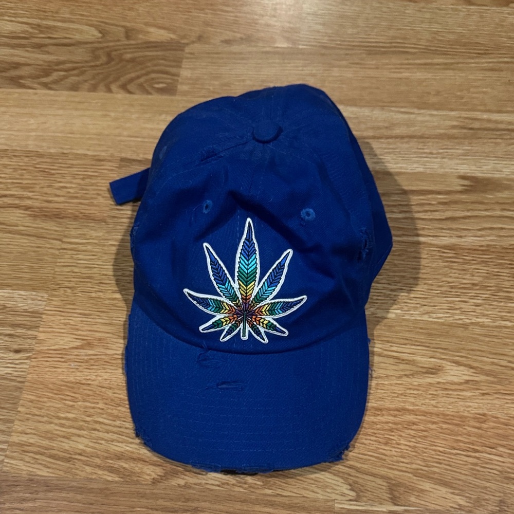 Blue Embroidered Leaf Cap